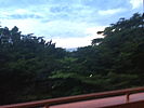 253-_view_of_lake_victoria_from_hotel_balcony.jpg